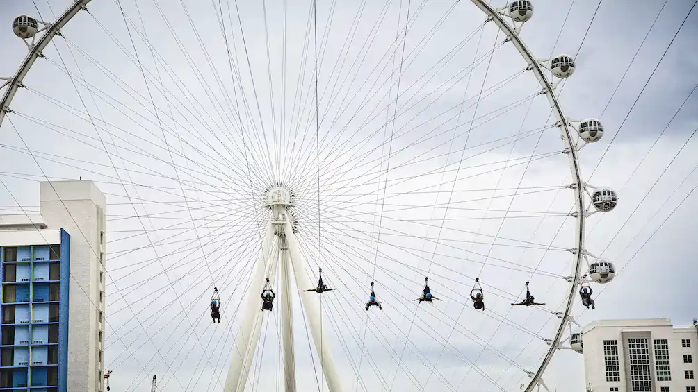 Fly LINQ Zipline Ride Experience