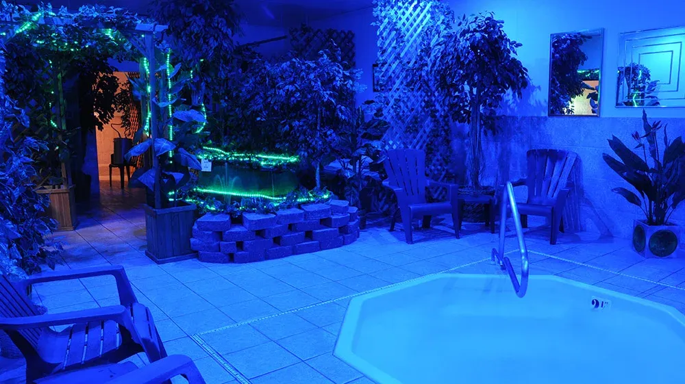 The Green Door Interior